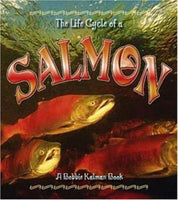 Life Cycle of a Salmon