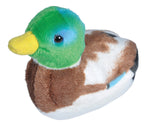 Audubon Stuffed Mallard