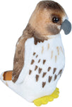 Audubon Red Tailed Hawk