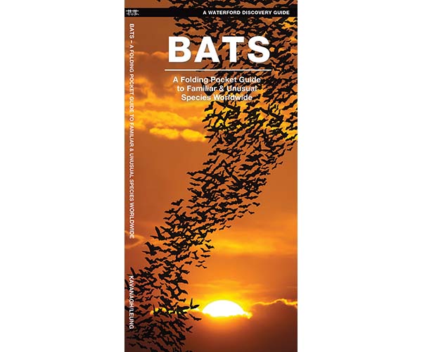 Bats - A Folding Pocket Guide to Familiar & Unusual Species Worldwide