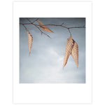 Pack Beech Leaves #1 Greeting Cards By Whitney River