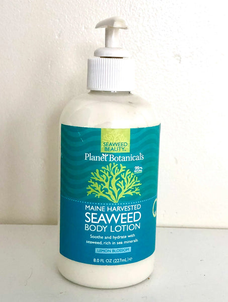 Planet Botanicals Seaweed Body Lotion - 8 oz