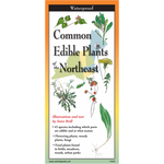 Common Edible Wild Plants of the Northeast Folding Pocket Guide