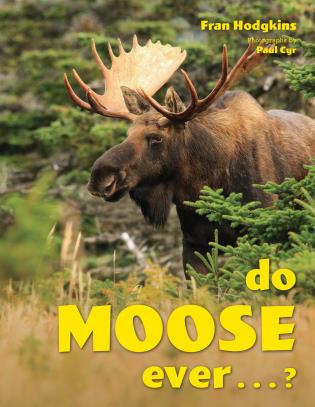 Do Moose Ever...?