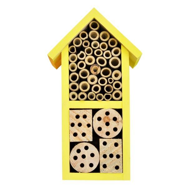 Dual Chamber Insect House