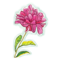 Fun Folks: Peony Vinyl Sticker