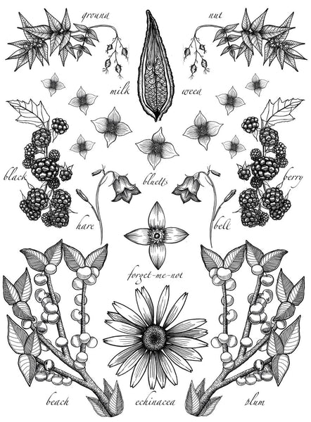 Poster - Signed 8.5x11" print by Isabella-Zoe