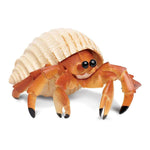 Hermit Crab Toy