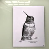 Poster - Signed 8.5x11" print by Isabella-Zoe