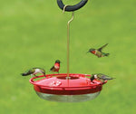 HighView Hummingbird Feeder