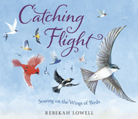 Catching Flight - Soaring on the Wings of Birds