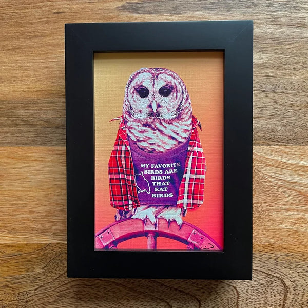 Barred Owl Flannel 4x6 Print