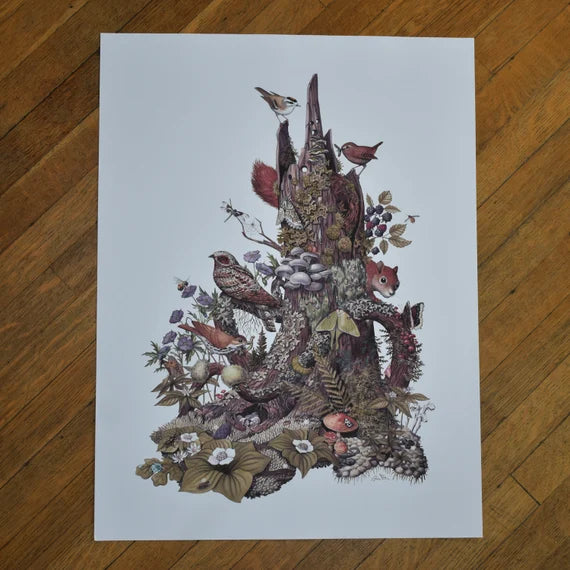 Jada Fitch Stump With  No Text 18 x 24