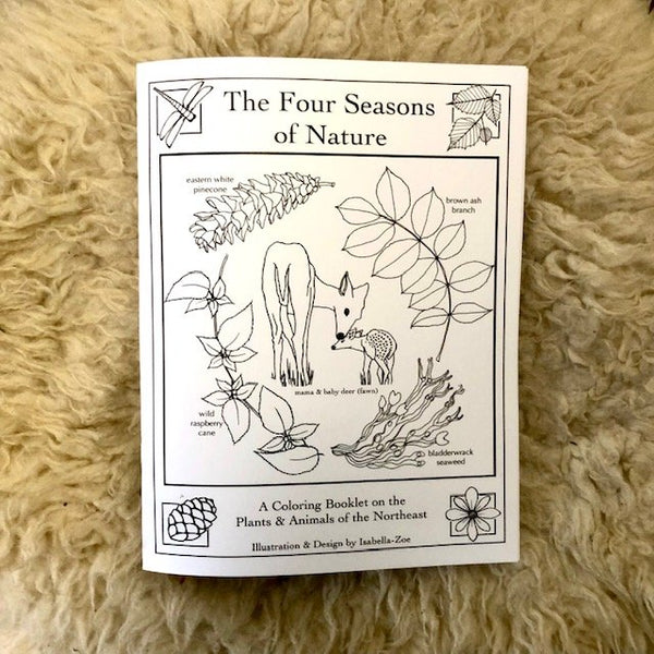 4 Seasons Coloring Book