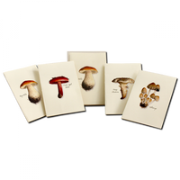 Mushroom Notecards