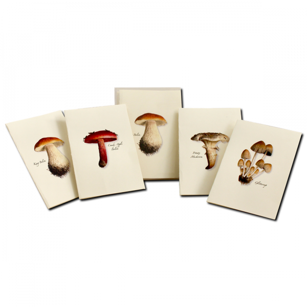 Mushroom Notecards