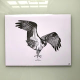 Poster - Signed 8.5x11" print by Isabella-Zoe