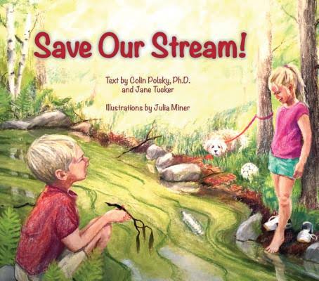 Save our Stream!