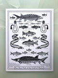 Poster - Signed 8.5x11" print by Isabella-Zoe