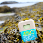 Planet Botanicals Seaweed Bar Soap