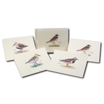 Shorebird Assorted II Notecards