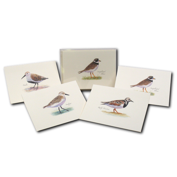 Shorebird Assorted II Notecards