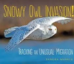 Snowy Owl invasion! Tracking an unusual migration