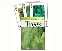 Trees of the Northeast Playing Cards