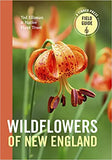 Wildflowers of New England By Ted Elliman