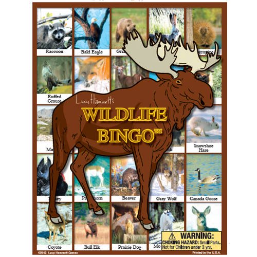 Wildlife Bingo - Lucy Hammett