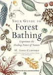 Your Guide to Forest Bathing - Experience the Healing Power of Nature